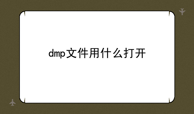 dmp文件用什么打开
