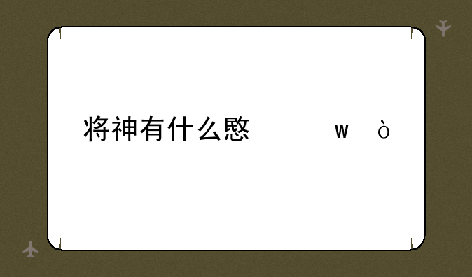将神有什么意思？