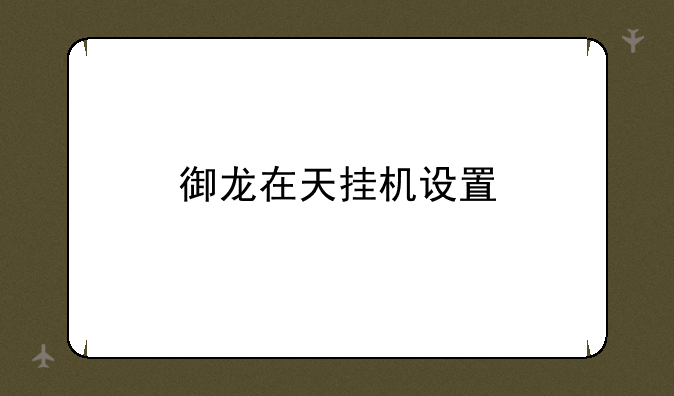 御龙在天挂机设置
