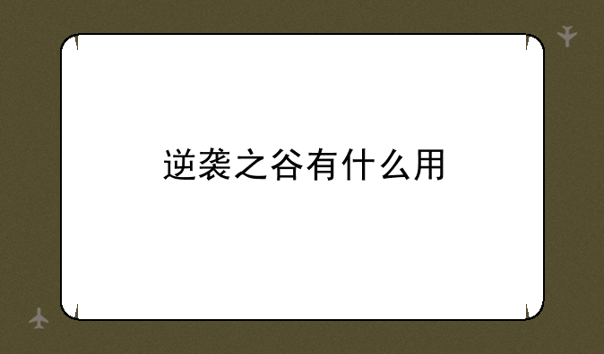 逆袭之谷有什么用