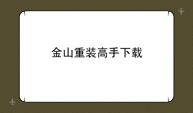 金山重装高手下载