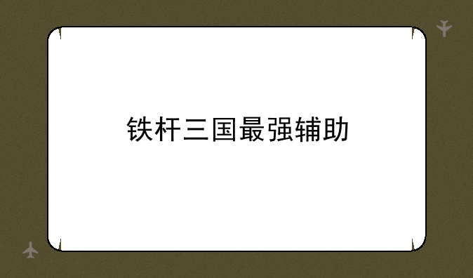铁杆三国最强辅助