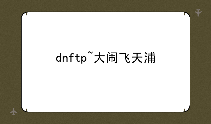 dnftp~大闹飞天浦