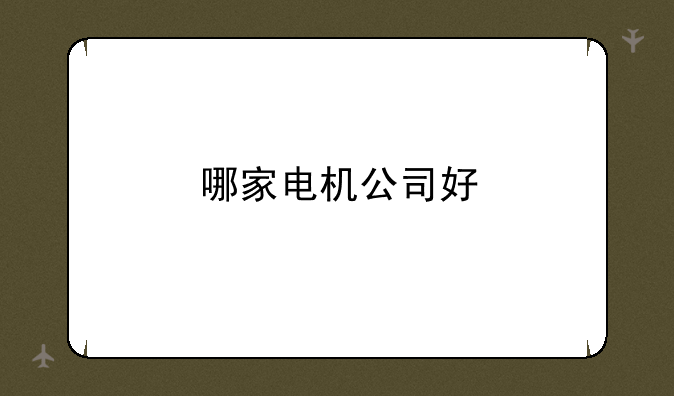 哪家电机公司好