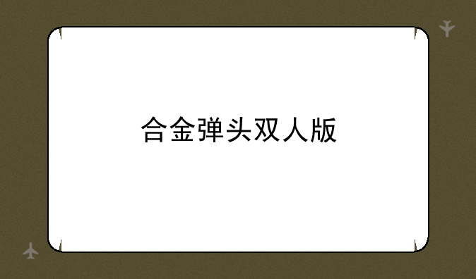 合金弹头双人版