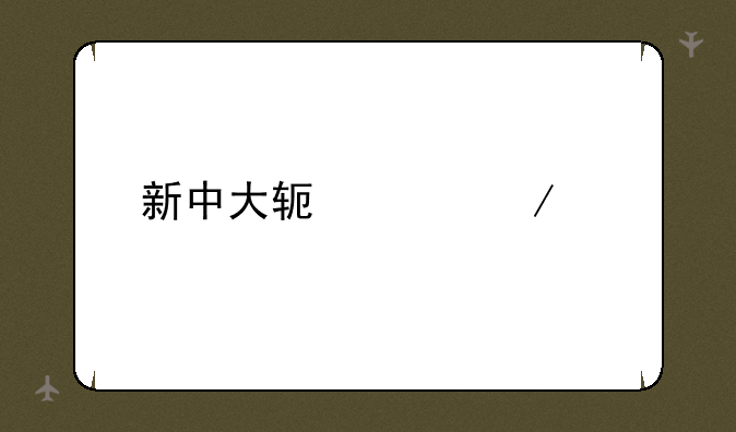 新中大软件下载