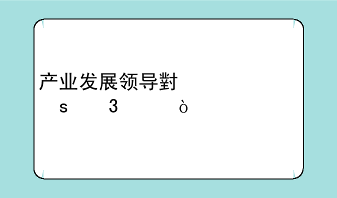 产业发展领导小组工作职责？