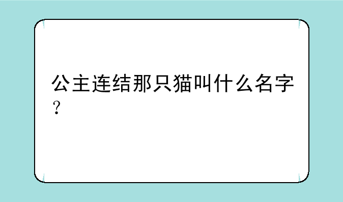 公主连结那只猫叫什么名字？