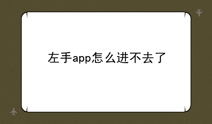 左手app怎么进不去了