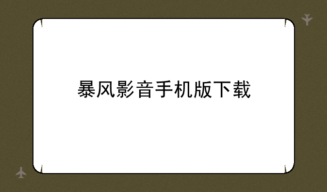 暴风影音手机版下载