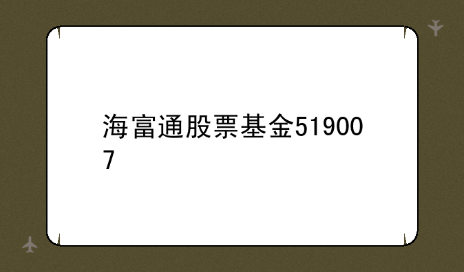 海富通股票基金519007