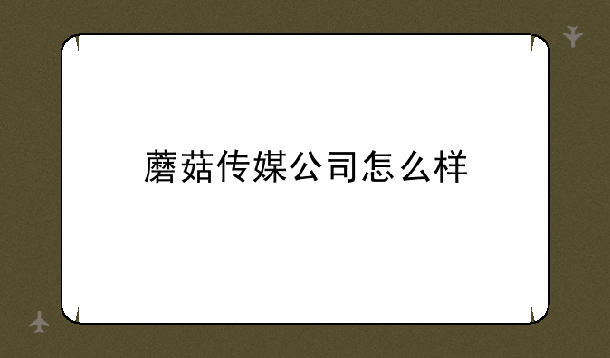 蘑菇传媒公司怎么样