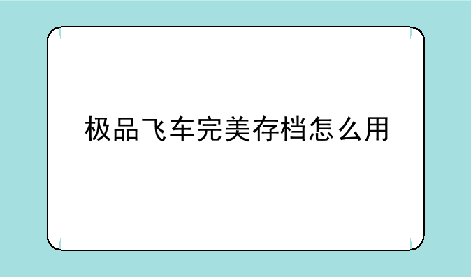 极品飞车完美存档怎么用