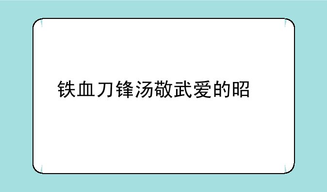 铁血刀锋汤敬武爱的是谁