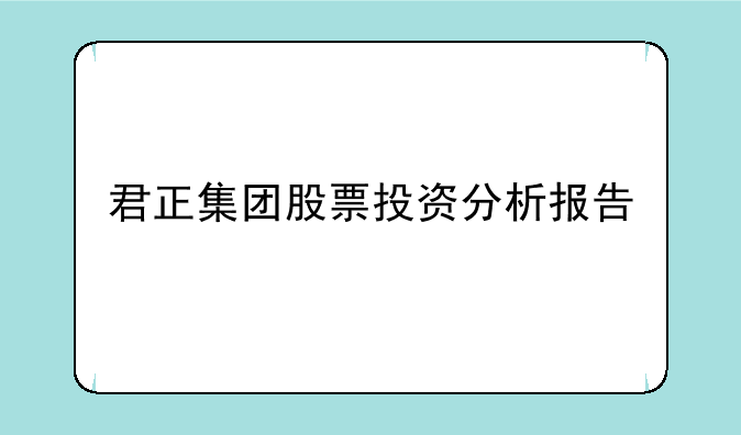 君正集团股票投资分析报告