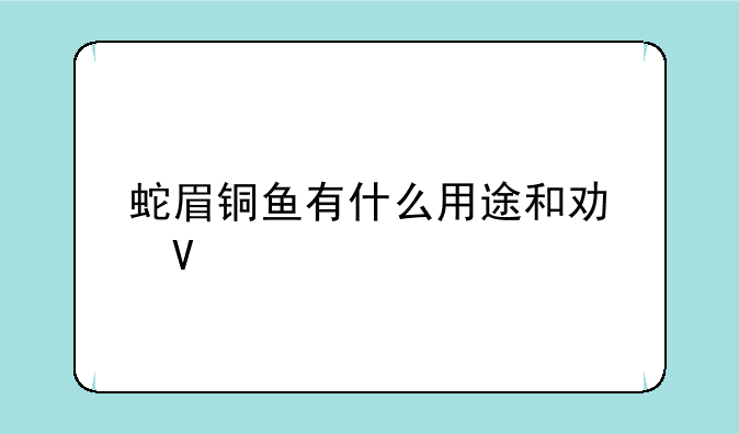 蛇眉铜鱼有什么用途和功效
