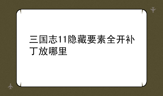 三国志11隐藏要素全开补丁放哪里