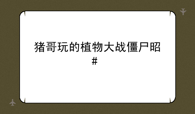 猪哥玩的植物大战僵尸是什么版本