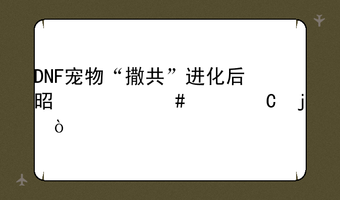 DNF宠物“撒共”进化后是什么样子的？