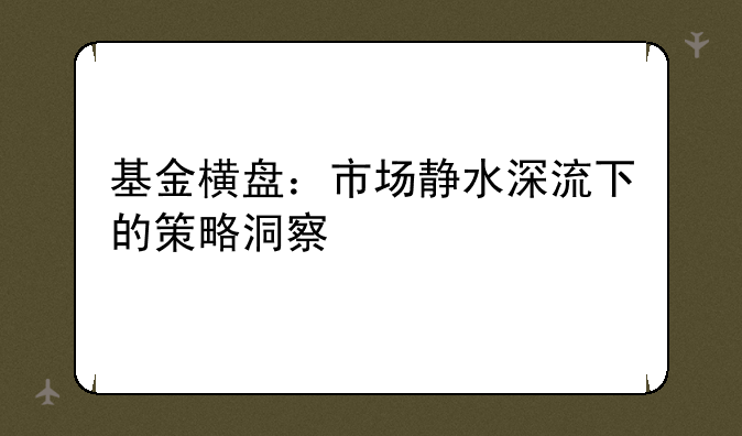 基金横盘：市场静水深流下的策略洞察