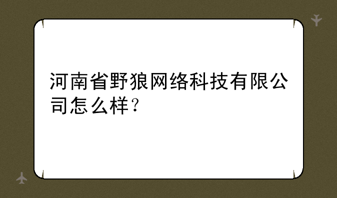 河南省野狼网络科技有限公司怎么样？