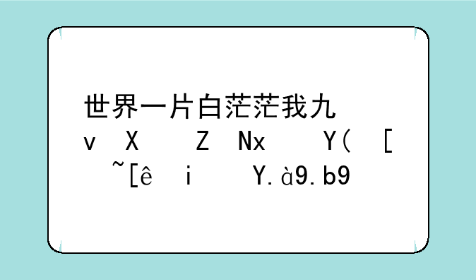 世界一片白茫茫我也感到孤独和彷徨是什么歌
