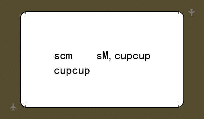 scm文件