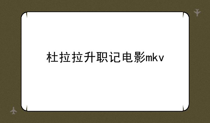 杜拉拉升职记电影mkv