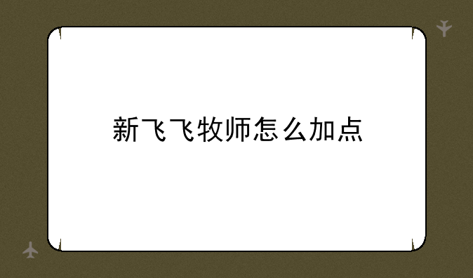 新飞飞牧师怎么加点