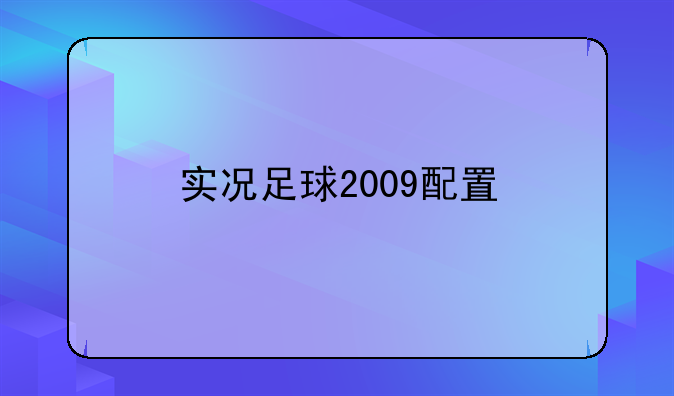 实况足球2009配置