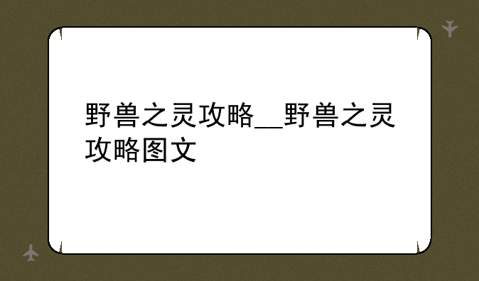 野兽之灵攻略__野兽之灵攻略图文